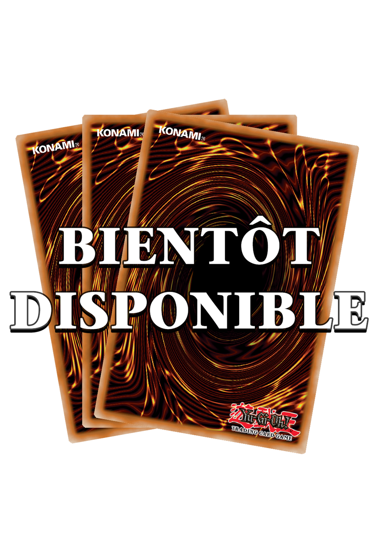 Yu-Gi-Oh! Magicienne des Ténèbres l'Apprentie du Magicien : QCSE ALIN-FR004