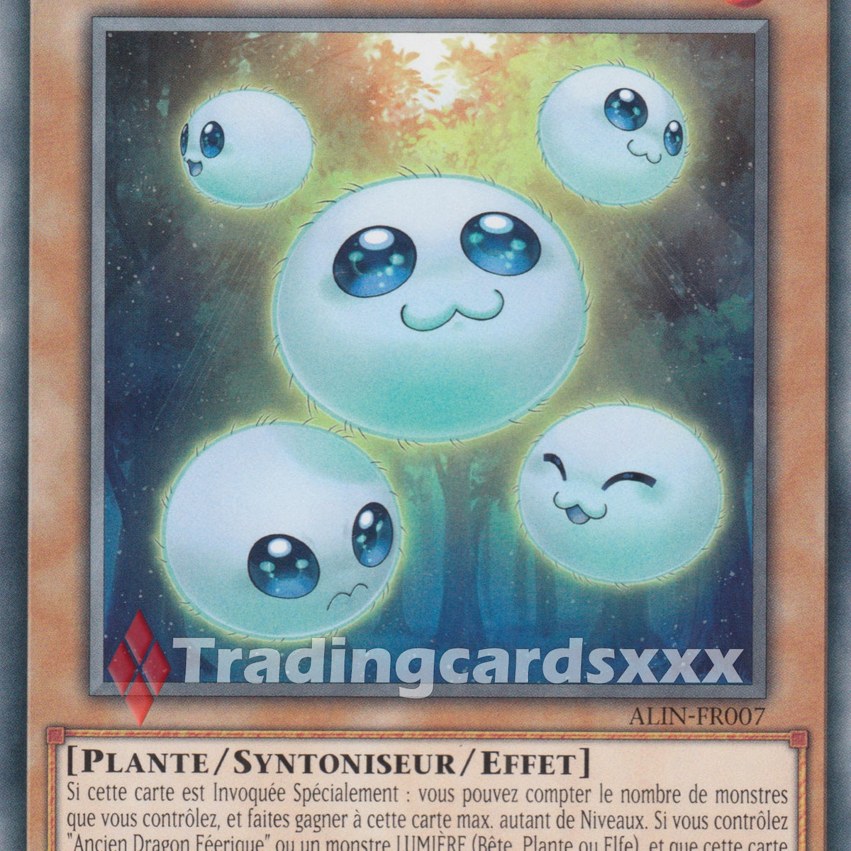 Yu-Gi-Oh! Spore la Graine Féerique : C ALIN-FR007 – Tradingcardsxxx