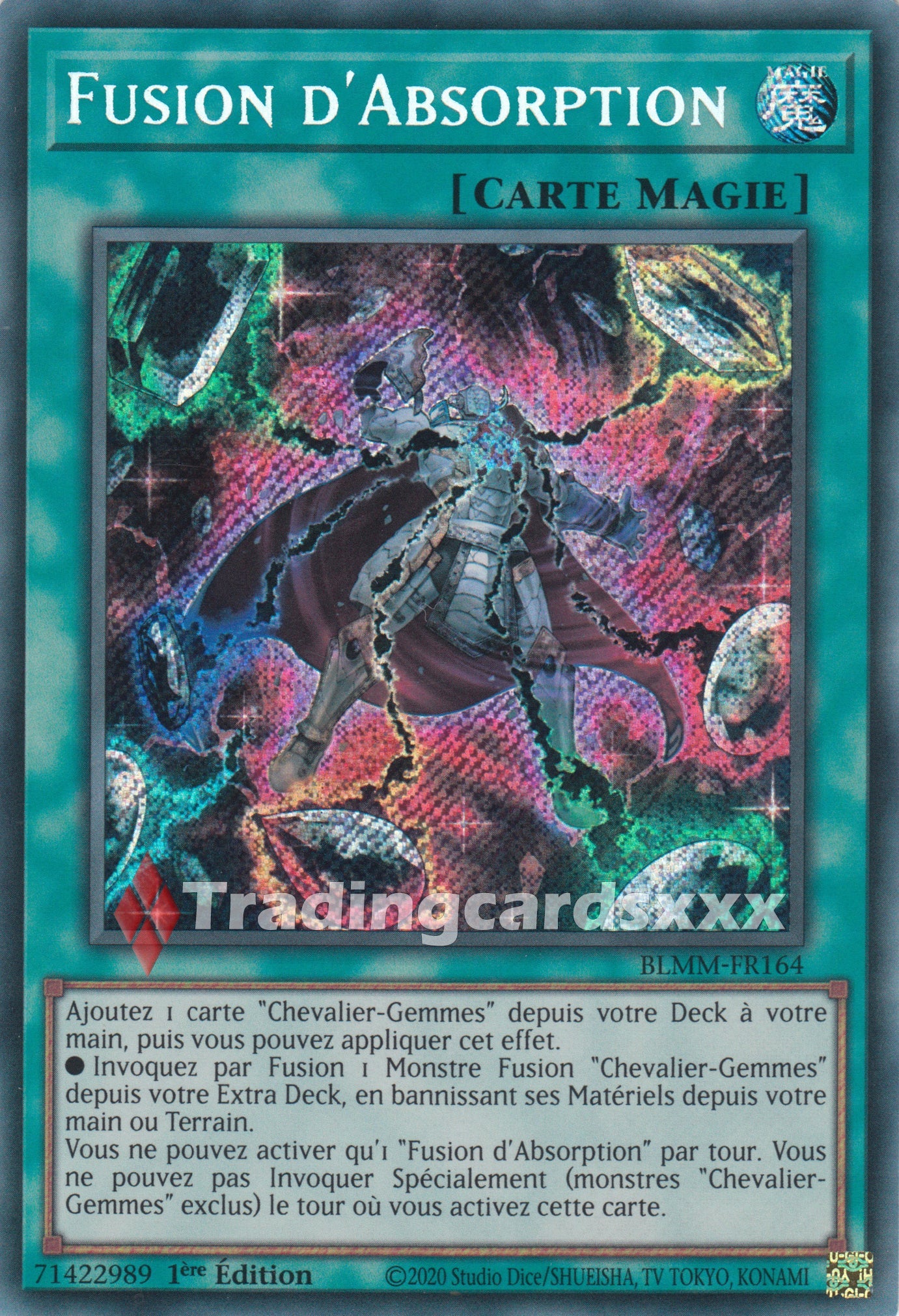 Yu-Gi-Oh! Fusion d'Absorption : SE BLMM-FR164