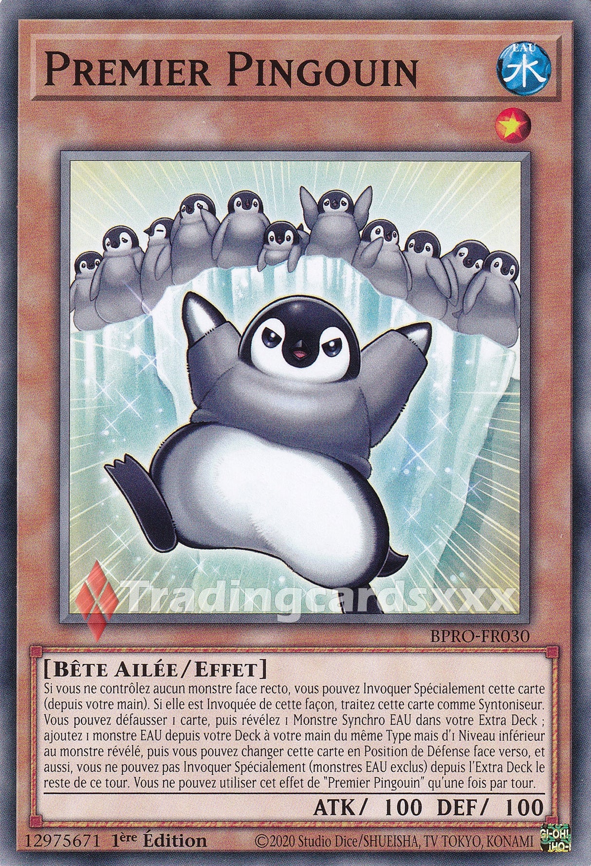 Yu-Gi-Oh! Premier Pingouin : C BPRO-FR030