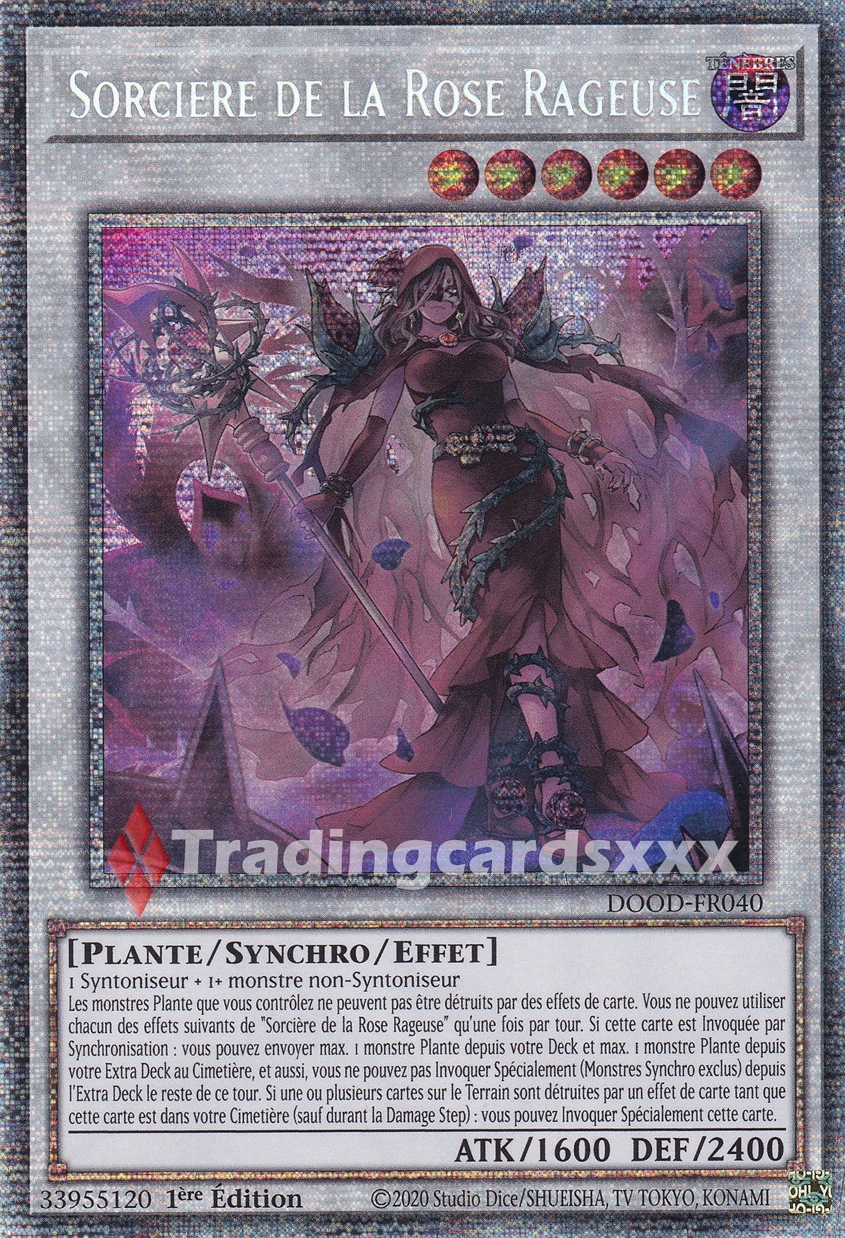 Yu-Gi-Oh! Sorcière de la Rose Rageuse : STAR DOOD-FR040