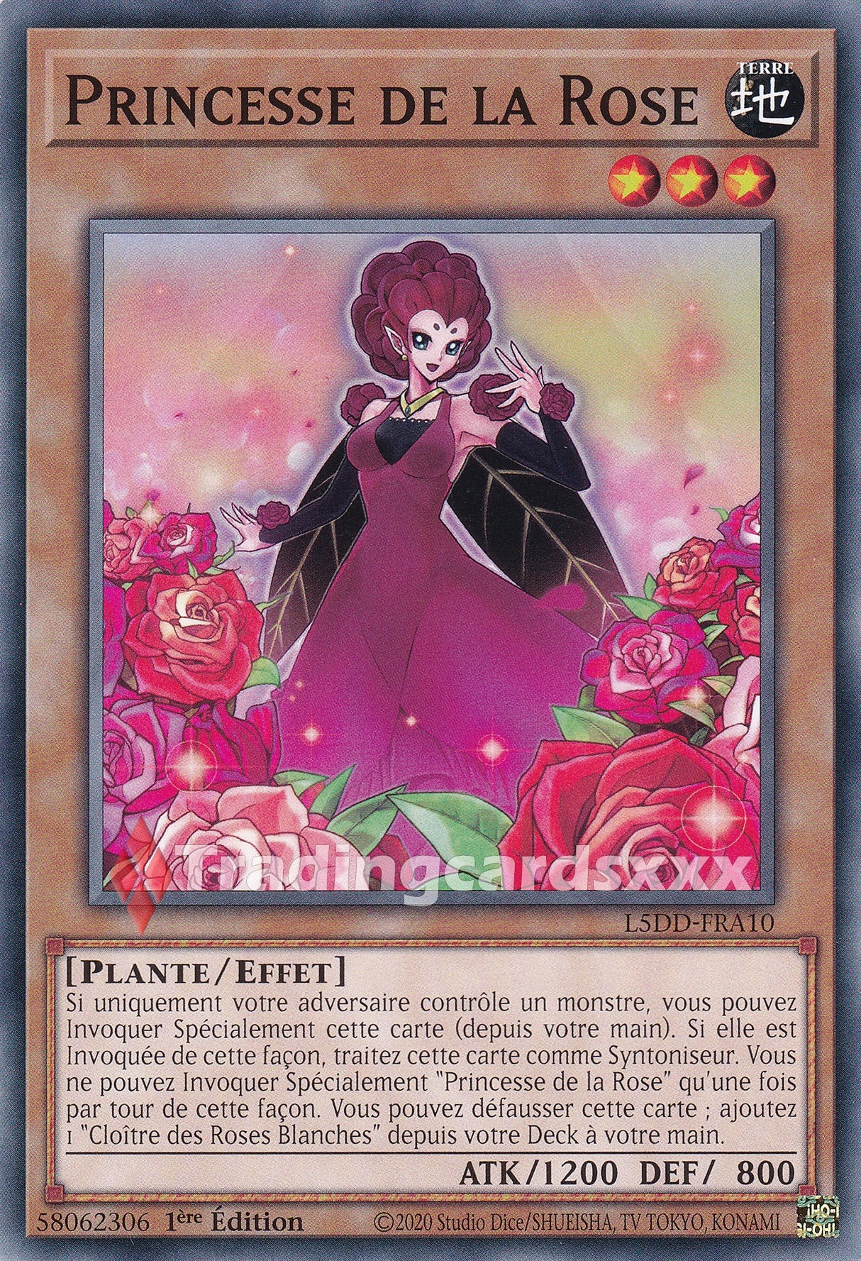 Yu-Gi-Oh! Princesse de la Rose : C L5DD-FRA10