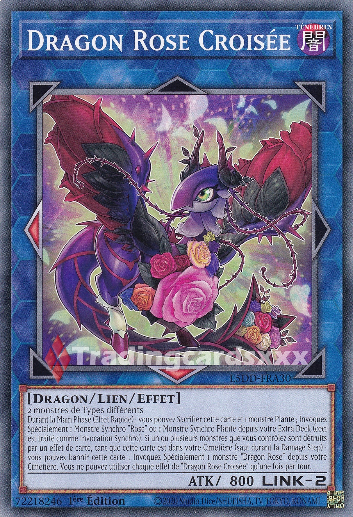 Yu-Gi-Oh! Dragon Rose Croisée : C L5DD-FRA30
