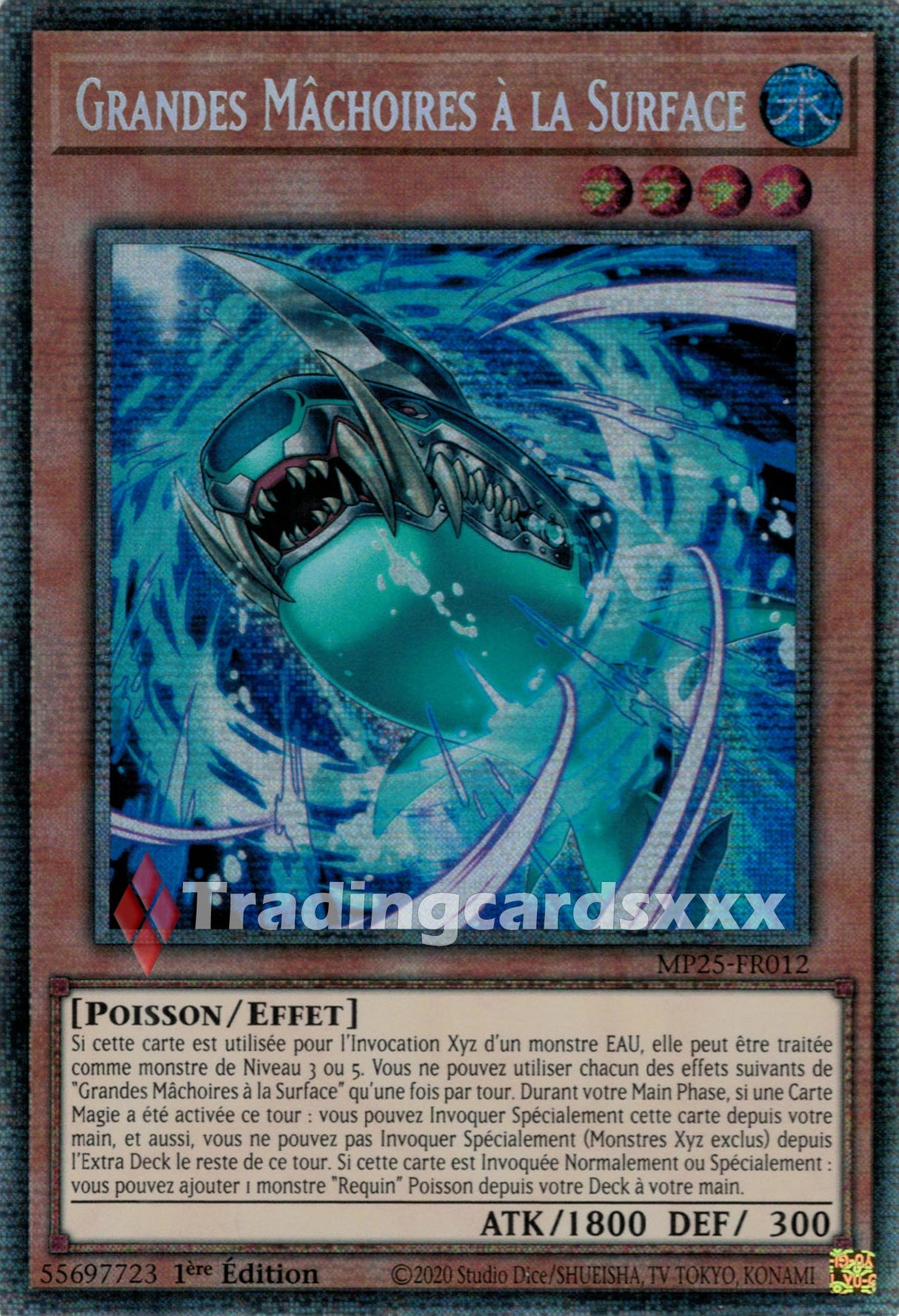 Yu-Gi-Oh! Grandes Mâchoires à la Surface : STAR MP25-FR012