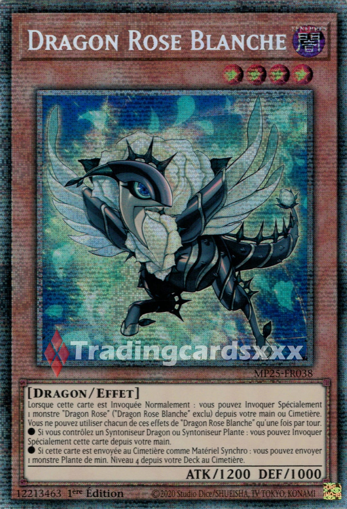 Yu-Gi-Oh! Dragon Rose Blanche : STAR MP25-FR038
