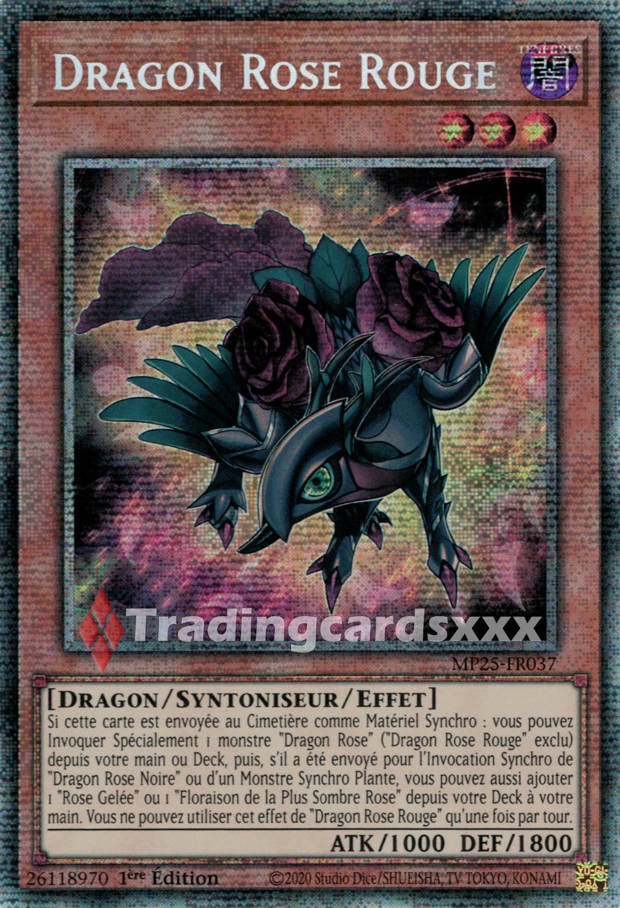 Yu-Gi-Oh! Dragon Rose Rouge : STAR MP25-FR037