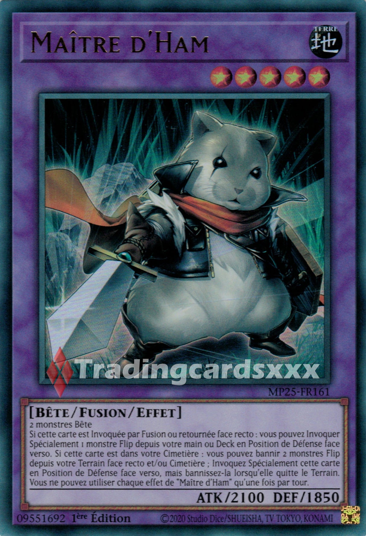 Yu-Gi-Oh! Maître d'Ham : UR MP25-FR161