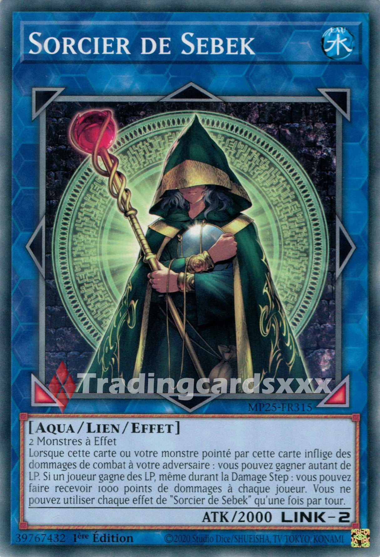 Yu-Gi-Oh! Sorcier de Sebek : C MP25-FR315