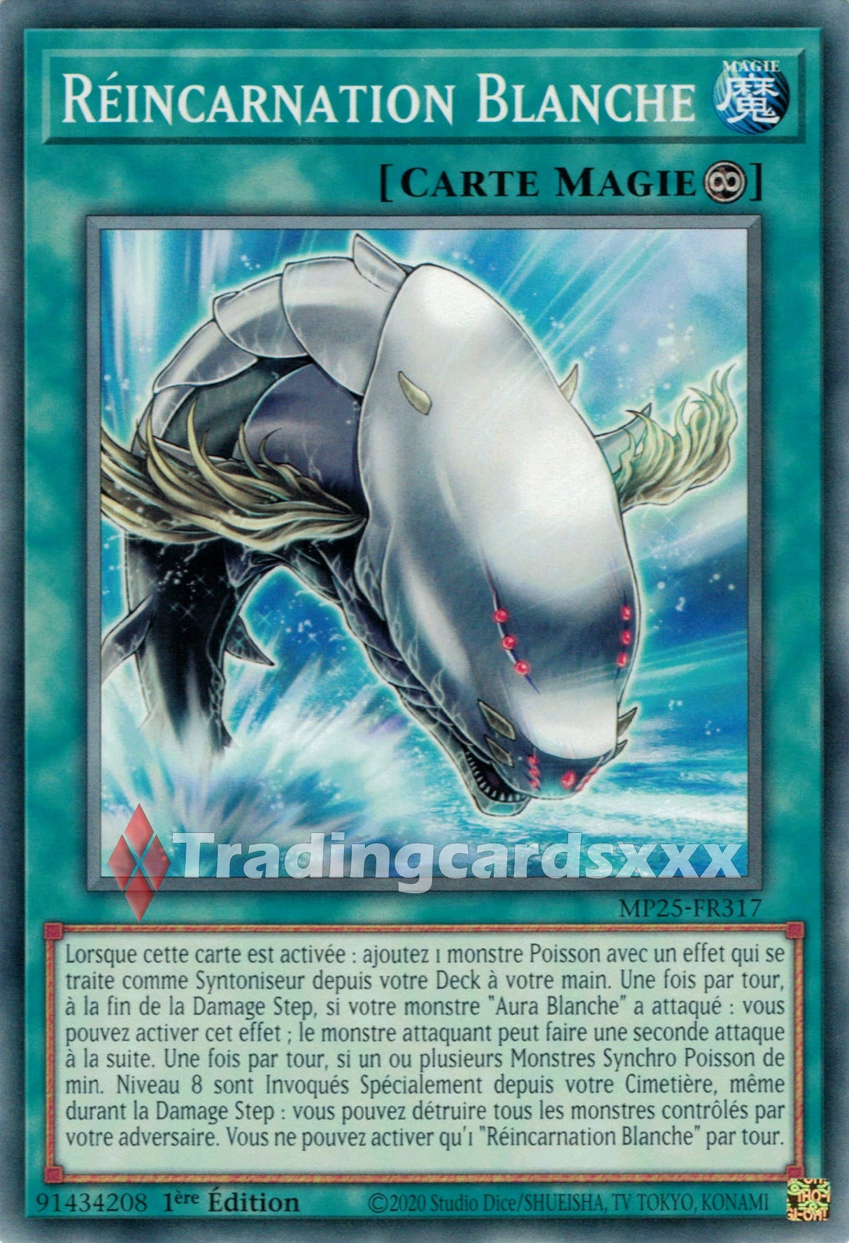 Yu-Gi-Oh! Réincarnation Blanche : C MP25-FR317