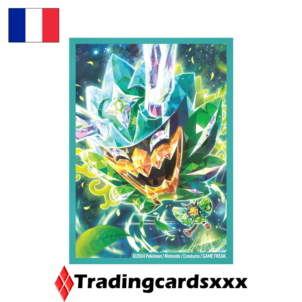 Pokémon - Coffret Collection Premium Novembre 2024 : Ogerpon ex
