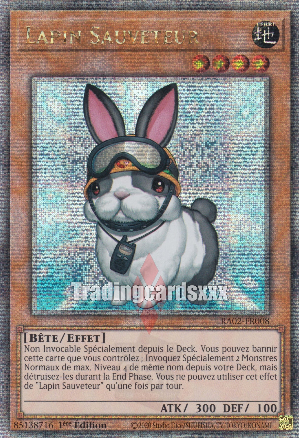 Yu-Gi-Oh! Lapin Sauveteur : RA02-FR008