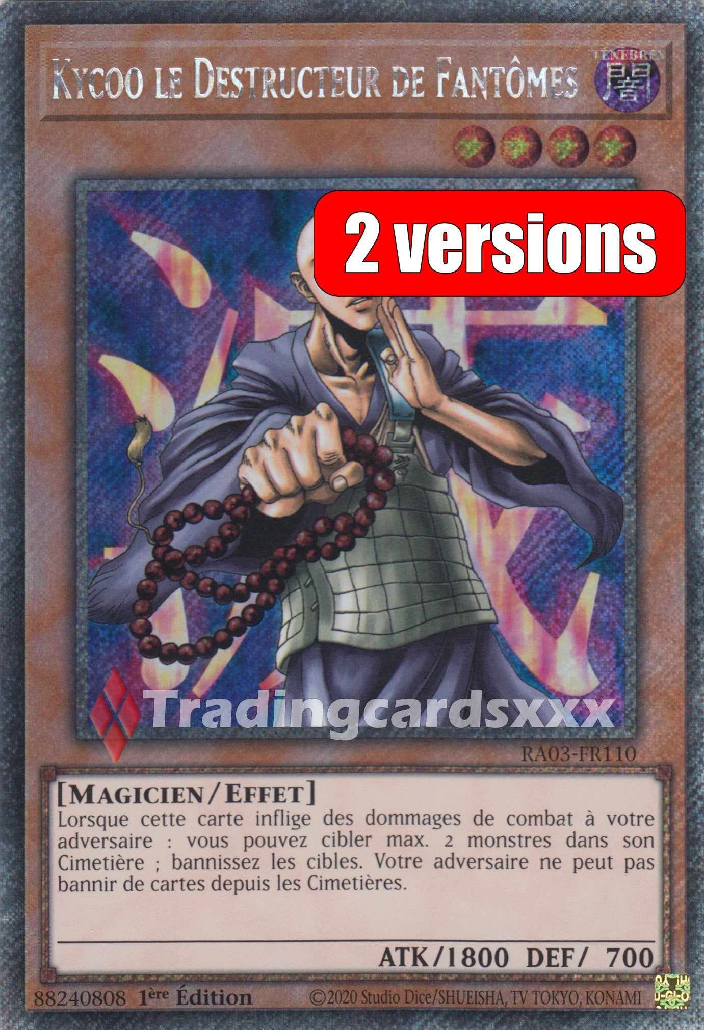 Yu-Gi-Oh! Kycoo le Destructeur de Fantômes : RA03-FR110