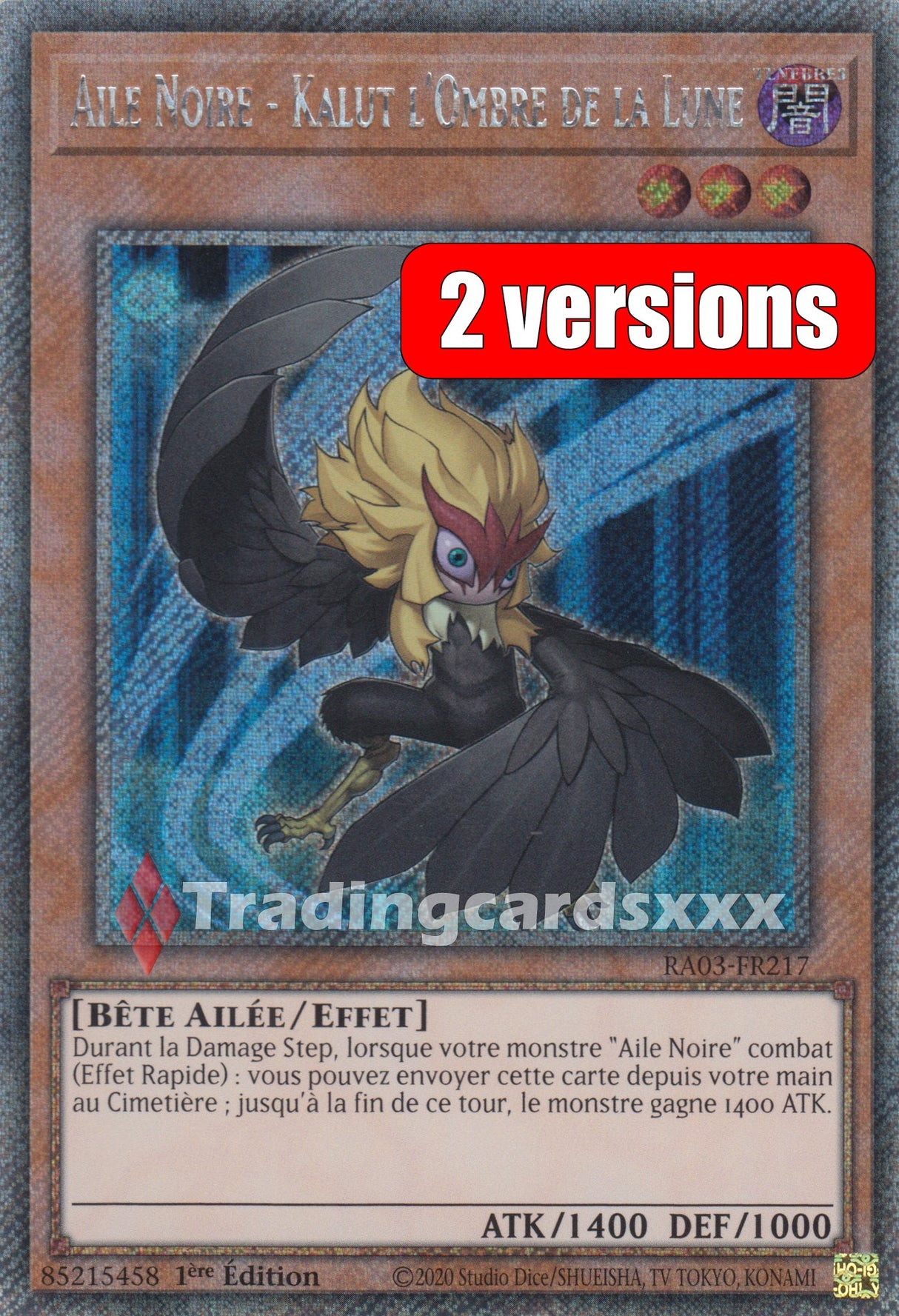 Yu-Gi-Oh! Aile Noire - Kalut l'Ombre de la Lune : RA03-FR217