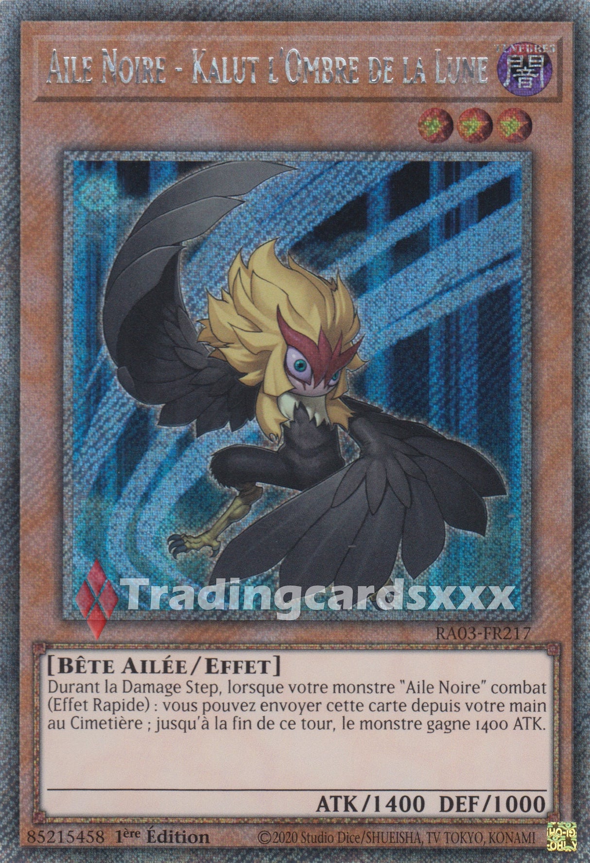 Yu-Gi-Oh! Aile Noire - Kalut l'Ombre de la Lune : RA03-FR217