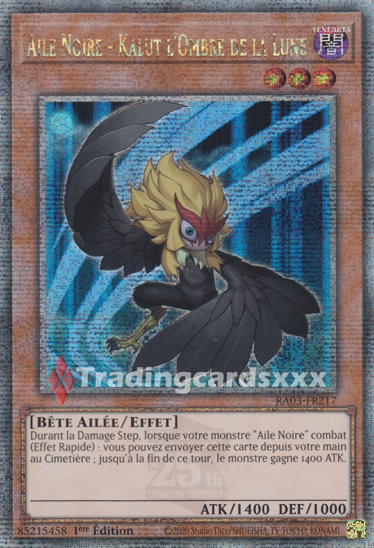 Yu-Gi-Oh! Aile Noire - Kalut l'Ombre de la Lune : RA03-FR217