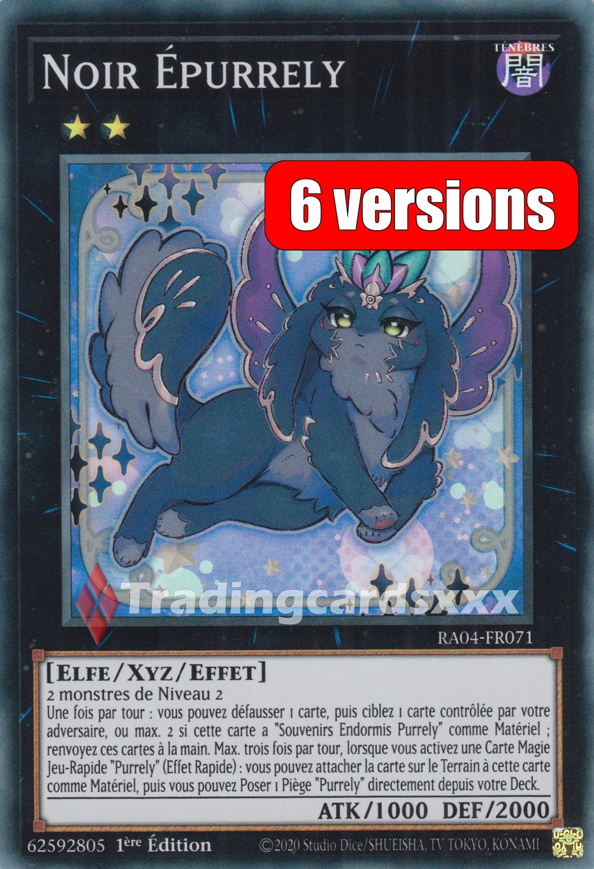 Yu-Gi-Oh! Noir Épurrely : RA04-FR071