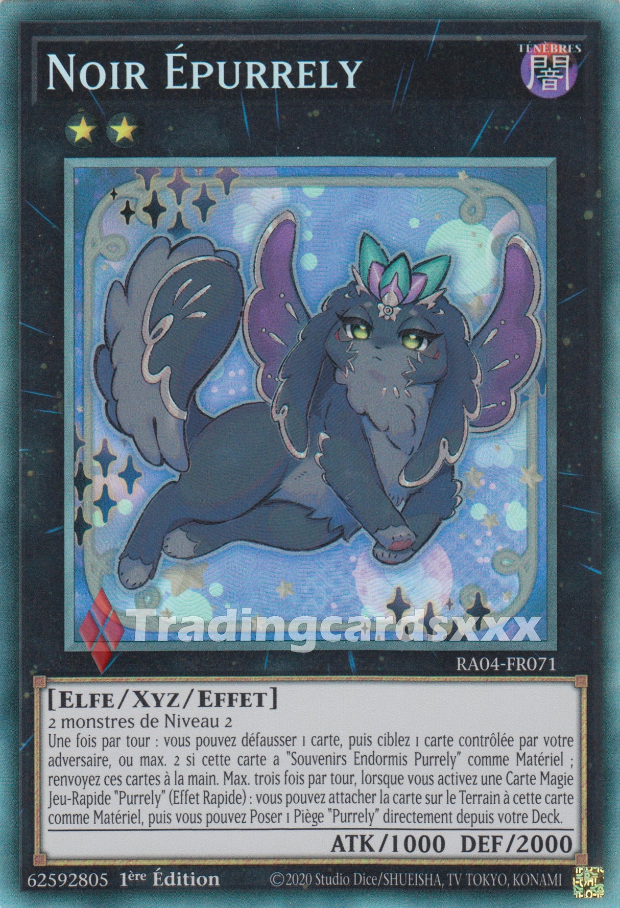 Yu-Gi-Oh! Noir Épurrely : RA04-FR071