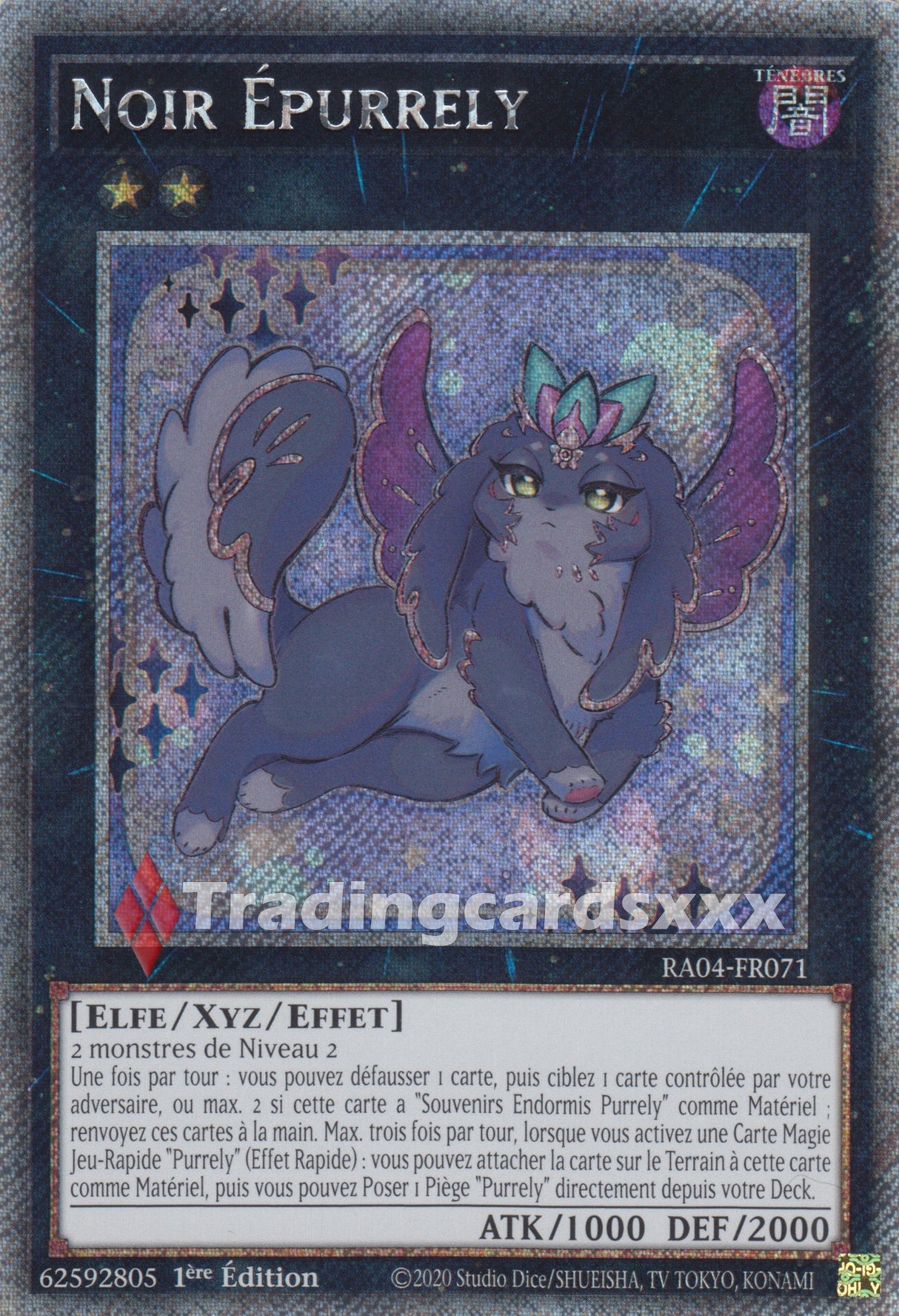 Yu-Gi-Oh! Noir Épurrely : RA04-FR071