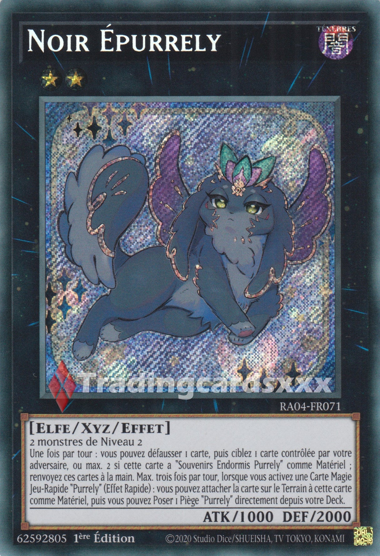 Yu-Gi-Oh! Noir Épurrely : RA04-FR071