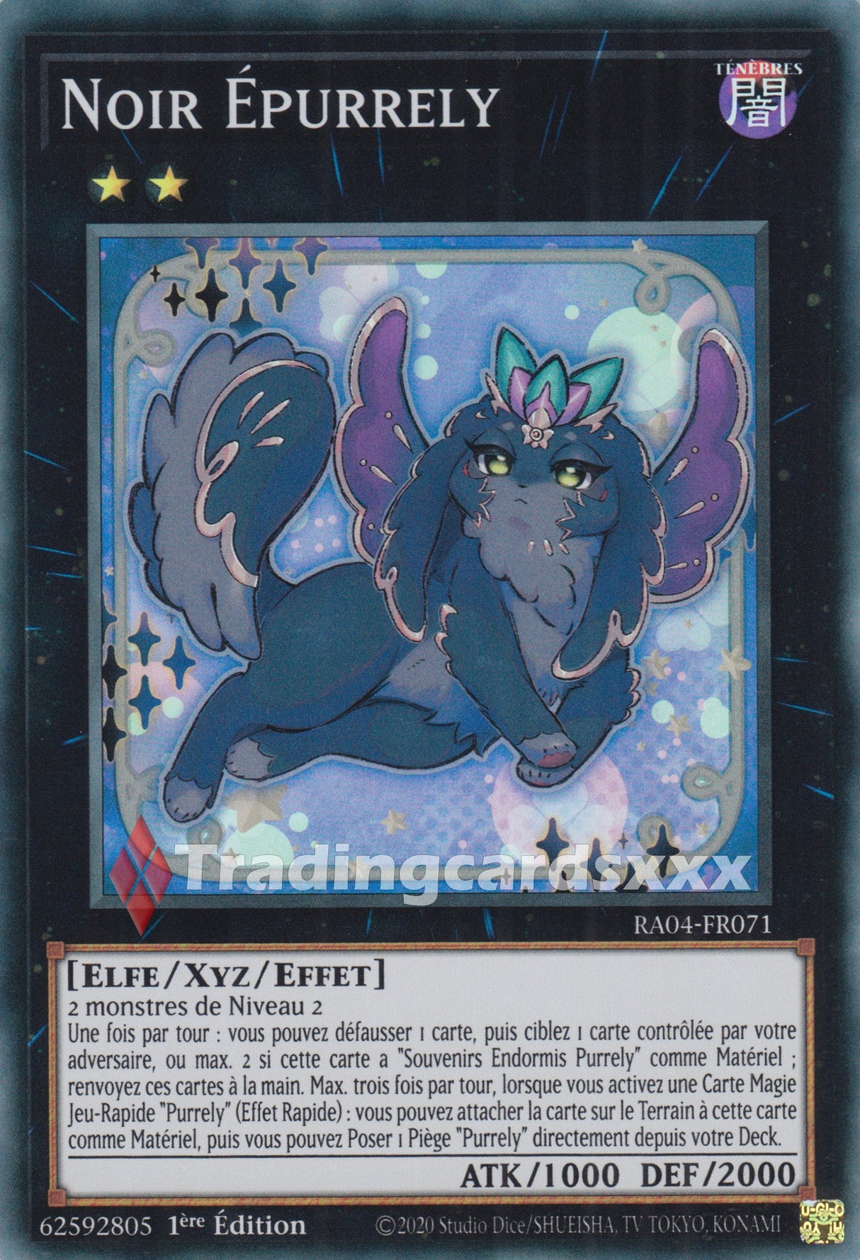 Yu-Gi-Oh! Noir Épurrely : RA04-FR071