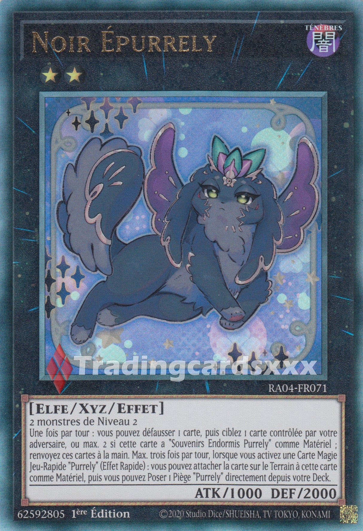 Yu-Gi-Oh! Noir Épurrely : RA04-FR071