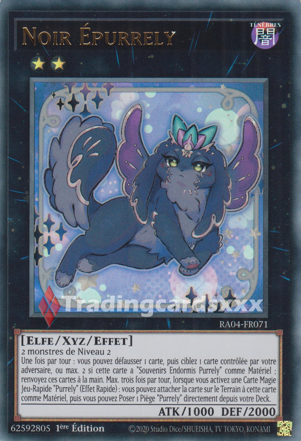 Yu-Gi-Oh! Noir Épurrely : RA04-FR071