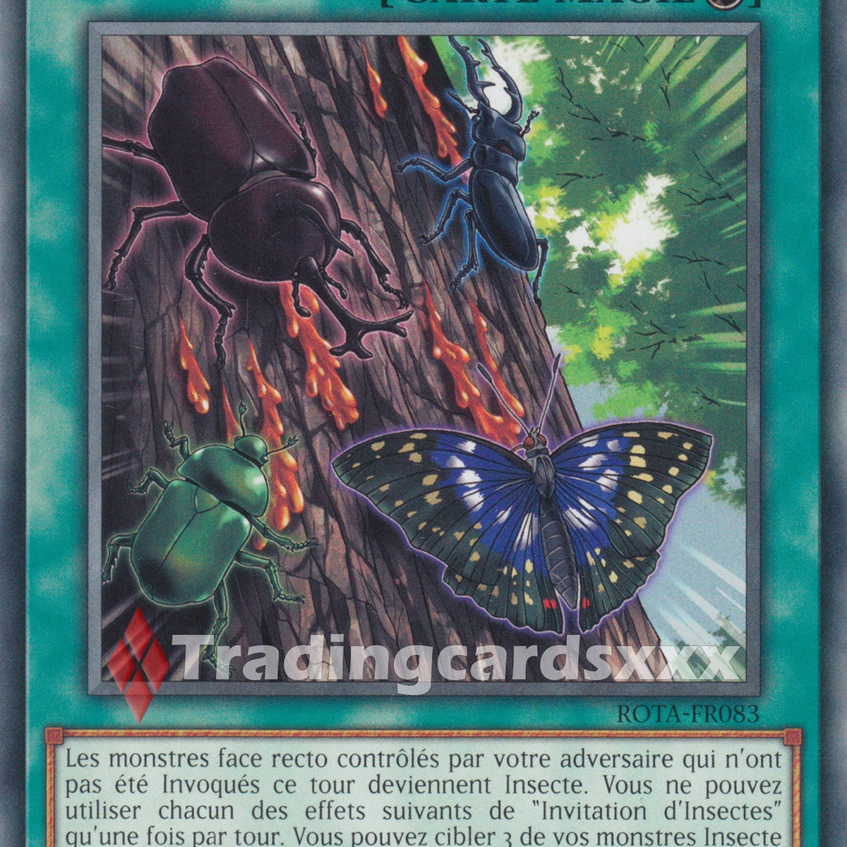 yugioh insect trap cards Yu-Gi-Oh! Invitation d'Insectes : C ROTA-FR083 – Tradingcardsxxx