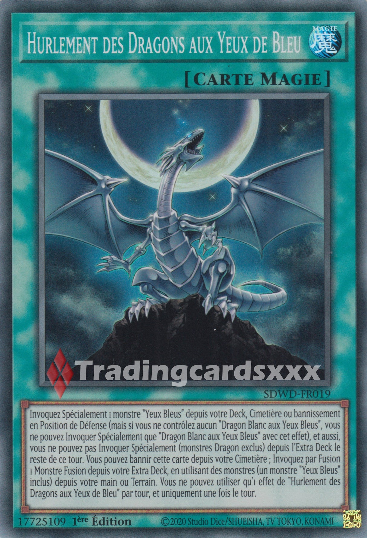 Yu-Gi-Oh! Hurlement des Dragons aux Yeux de Bleu : SR SDWD-FR019