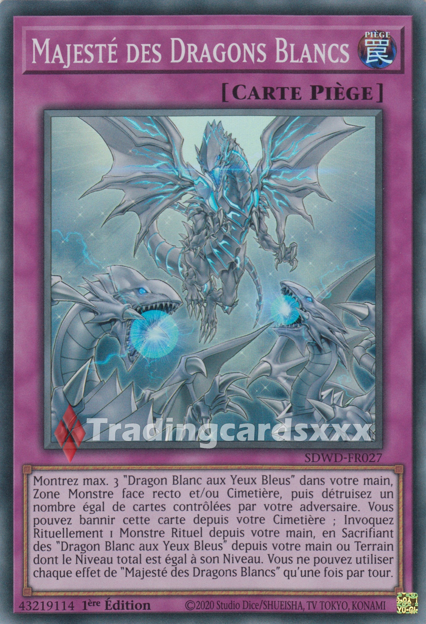 Yu-Gi-Oh! Majesté des Dragons Blancs : SR SDWD-FR027