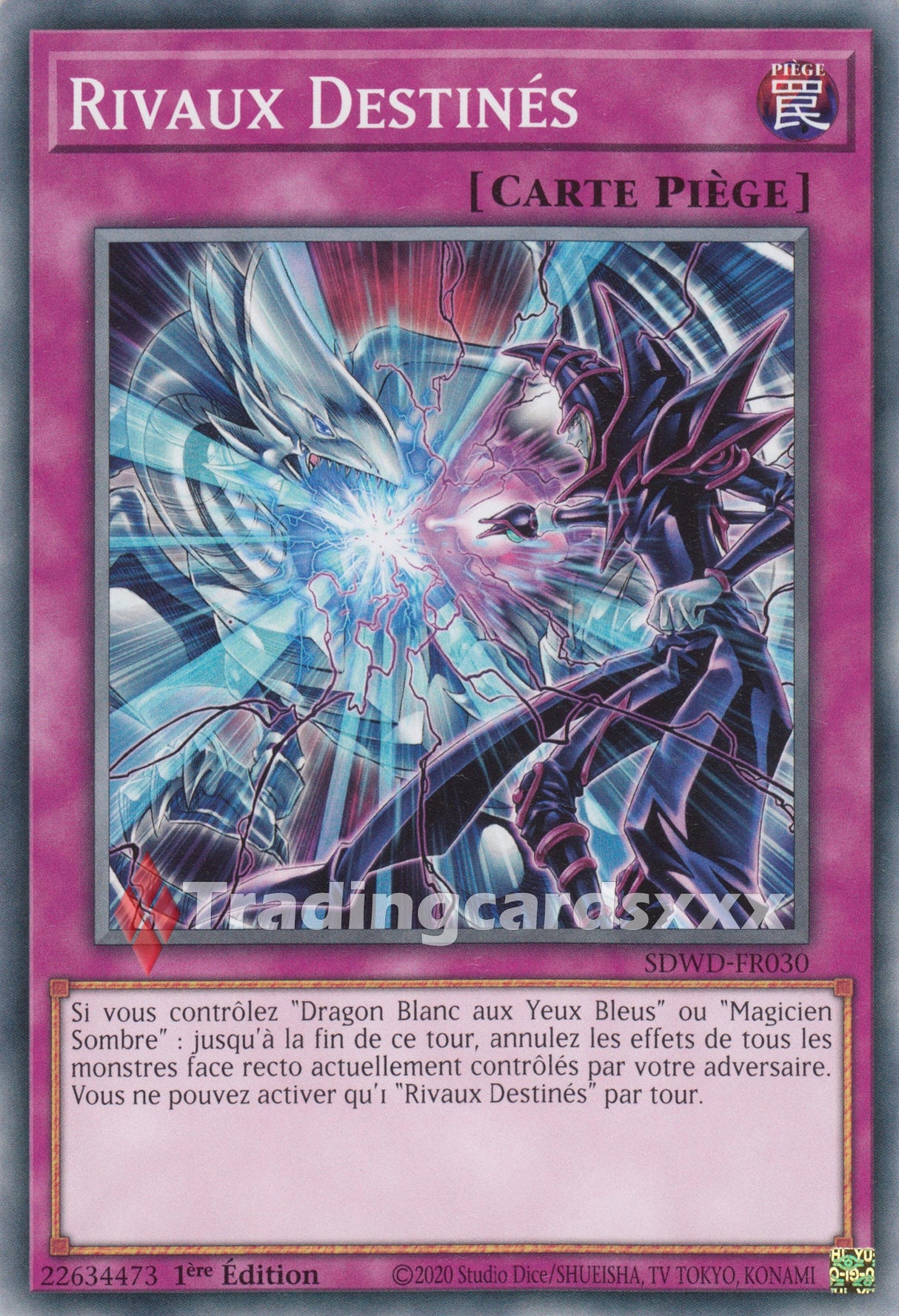 Yu-Gi-Oh! Rivaux Destinés : C SDWD-FR030