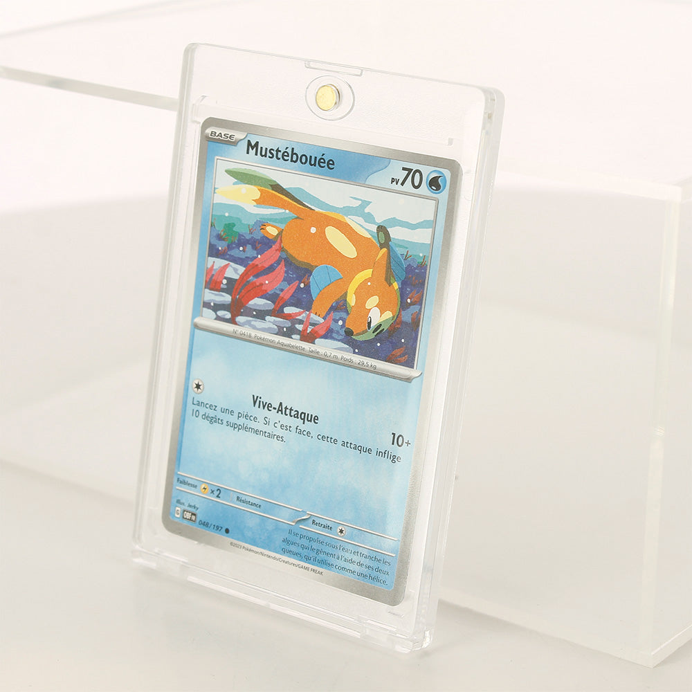 Phoenix Shield - Lot de 5 Protections en acrylique : Magnetic Card Case 35pt