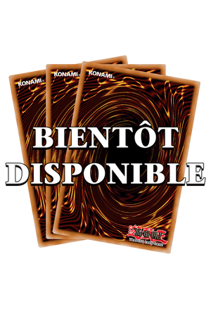 Yu-Gi-Oh! Dogmatika Fleurdelis, l'Éclair : STAR DOOD-FR026