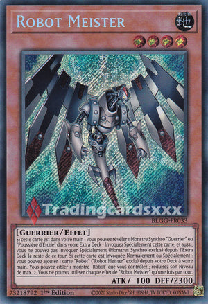 Yu-Gi-Oh! Robot Meister : SE BLGG-FR033