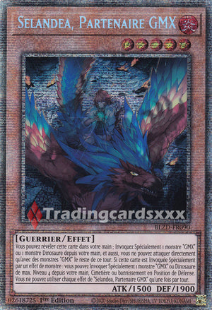 Yu-Gi-Oh! Selandea, Partenaire GMX : STAR BLZD-FR090