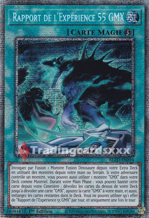Yu-Gi-Oh! Rapport de l'Expérience 55 GMX : STAR BLZD-FR094
