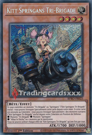 Yu-Gi-Oh! Kitt Springans Tri-Brigade : SE BPRO-FR025