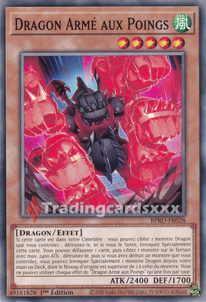 Yu-Gi-Oh! Dragon Armé aux Poings : C BPRO-FR028