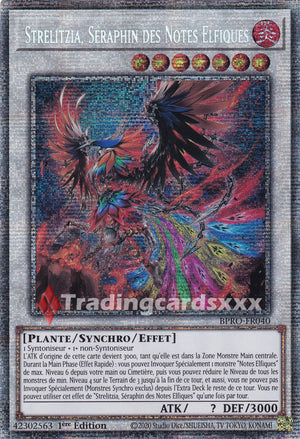 Yu-Gi-Oh! Strelitzia, Séraphin des Notes Elfiques : STAR BPRO-FR040