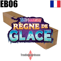 
              Pokémon - Carton de 6 displays de 36 boosters EB06 Épée et Bouclier : Règne de Glace
            
