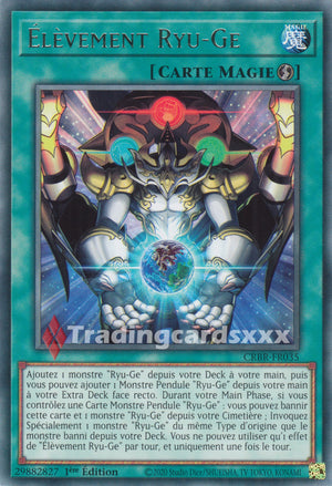 Yu-Gi-Oh! Élèvement Ryu-Ge : R CRBR-FR035