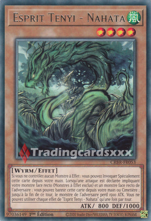 Yu-Gi-Oh! Esprit Tenyi - Nahata : R CRBR-FR053