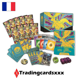 Pokémon - Coffret Dresseur d'Élite ME02.5 Héros Transcendants : Méga Dracolosse ex