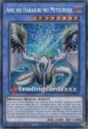 Yu-Gi-Oh! Ame no Habakiri no Mitsurugi : SE L26D-FRM10