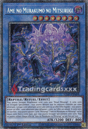 Yu-Gi-Oh! Ame no Murakumo no Mitsurugi : STAR L26D-FRM08