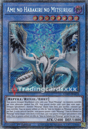 Yu-Gi-Oh! Ame no Habakiri no Mitsurugi : STAR L26D-FRM10