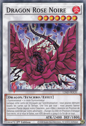 Yu-Gi-Oh! Dragon Rose Noire : C L26D-FRX31