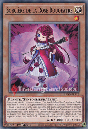 Yu-Gi-Oh! Sorcière de la Rose Rougeâtre : C L5DD-FRA13