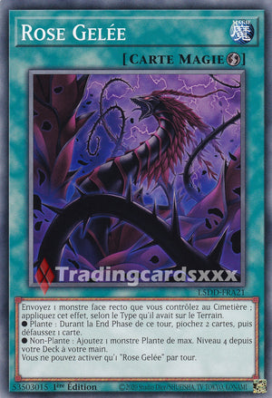 Yu-Gi-Oh! Rose Gelée : C L5DD-FRA21