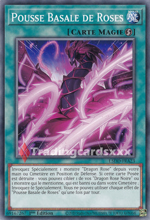 Yu-Gi-Oh! Pousse Basale de Roses : C L5DD-FRA23