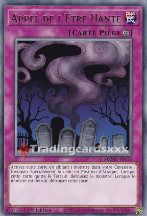 Yu-Gi-Oh! Appel de l'Être Hanté : R MZMU-FR118